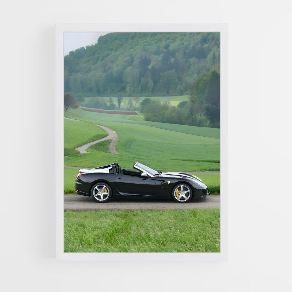 Poster Ferrari Sauvage (vue 3)